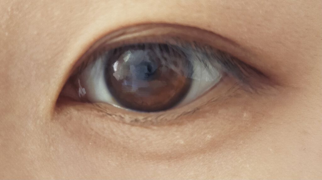 ラスティングマルチアイベース WP/キャンメイク/アイシャドウベースを使ったクチコミ（2枚目）