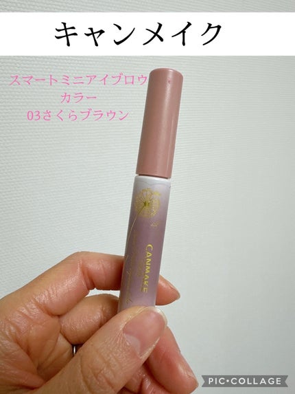 スマートミニアイブロウカラー/キャンメイク/眉マスカラを使ったクチコミ(1枚目)