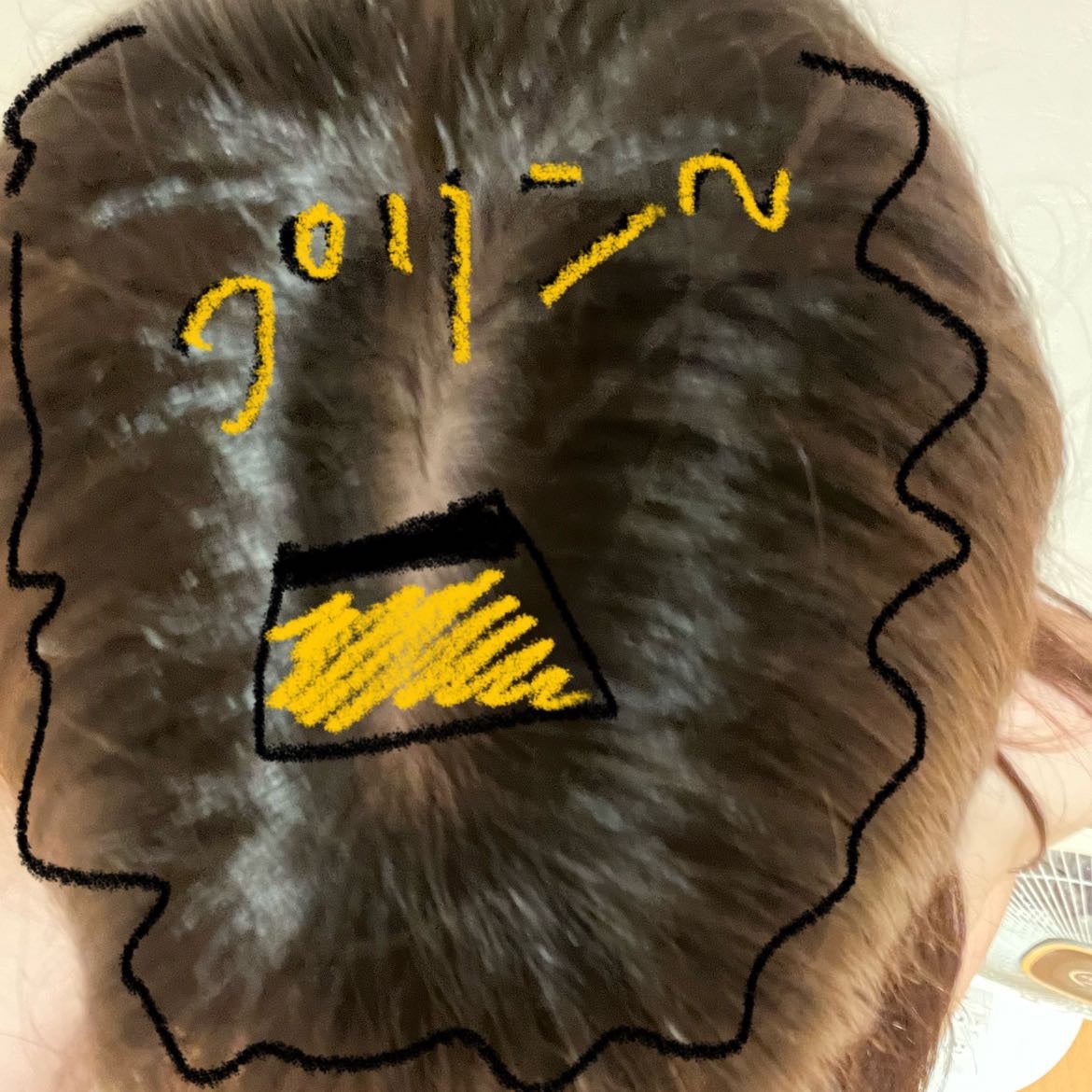 ホイップヘアカラー 髪色もどし/ビューティラボ/ヘアカラーを使ったクチコミ(4枚目)