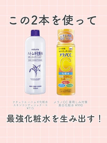 ハトムギ化粧水(ナチュリエ スキンコンディショナー R )/ナチュリエ/化粧水を使ったクチコミ（1枚目）