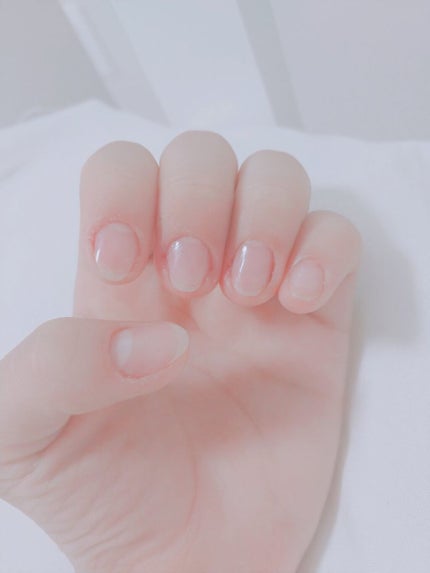 を使ったクチコミ(1枚目)