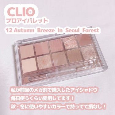 プロ アイ パレット/CLIO/アイシャドウパレットを使ったクチコミ（2枚目）