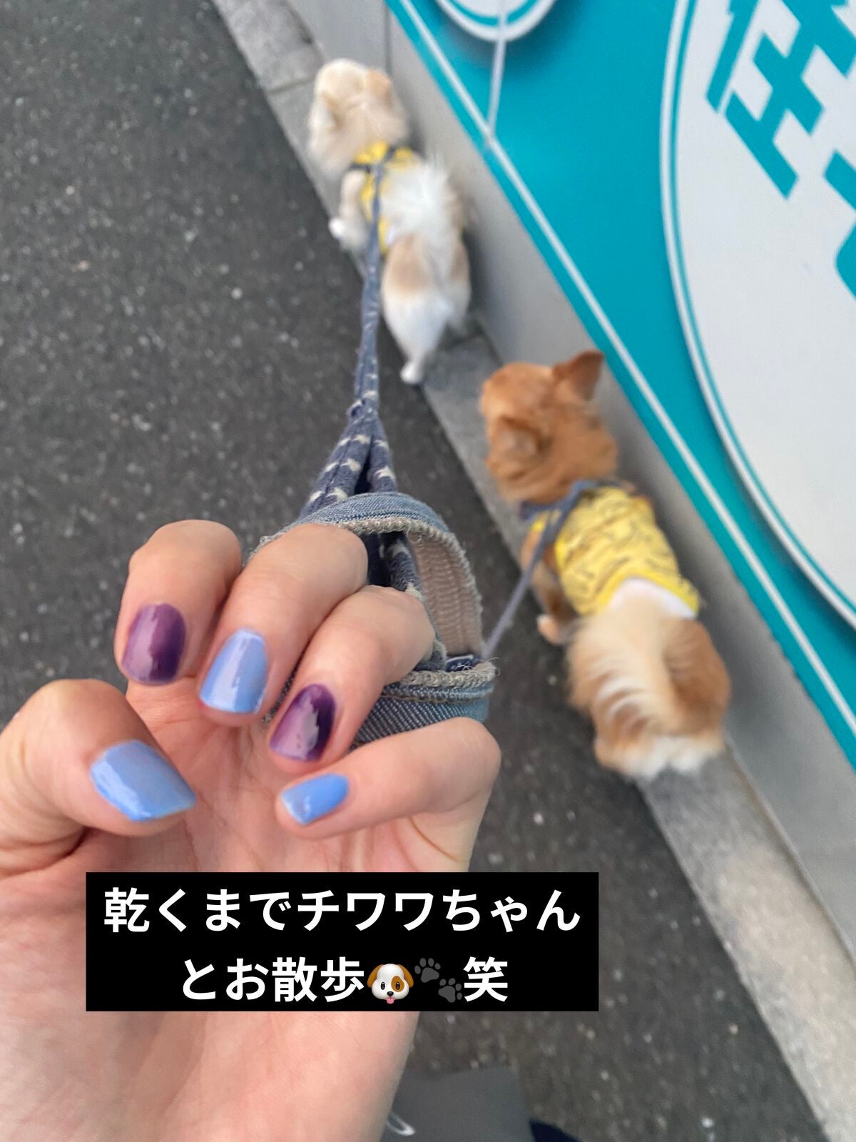 ムードペブルネイル/rom&nd/マニキュアを使ったクチコミ(3枚目)