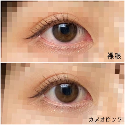 FOMOMY ワンデー ミックスグレー/FOMOMY/ワンデー(1DAY)カラコンの画像