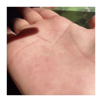 シカマヌ トナー/parnell/化粧水を使ったクチコミ(5枚目)