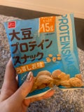 おやつカンパニー大豆プロテインスナック