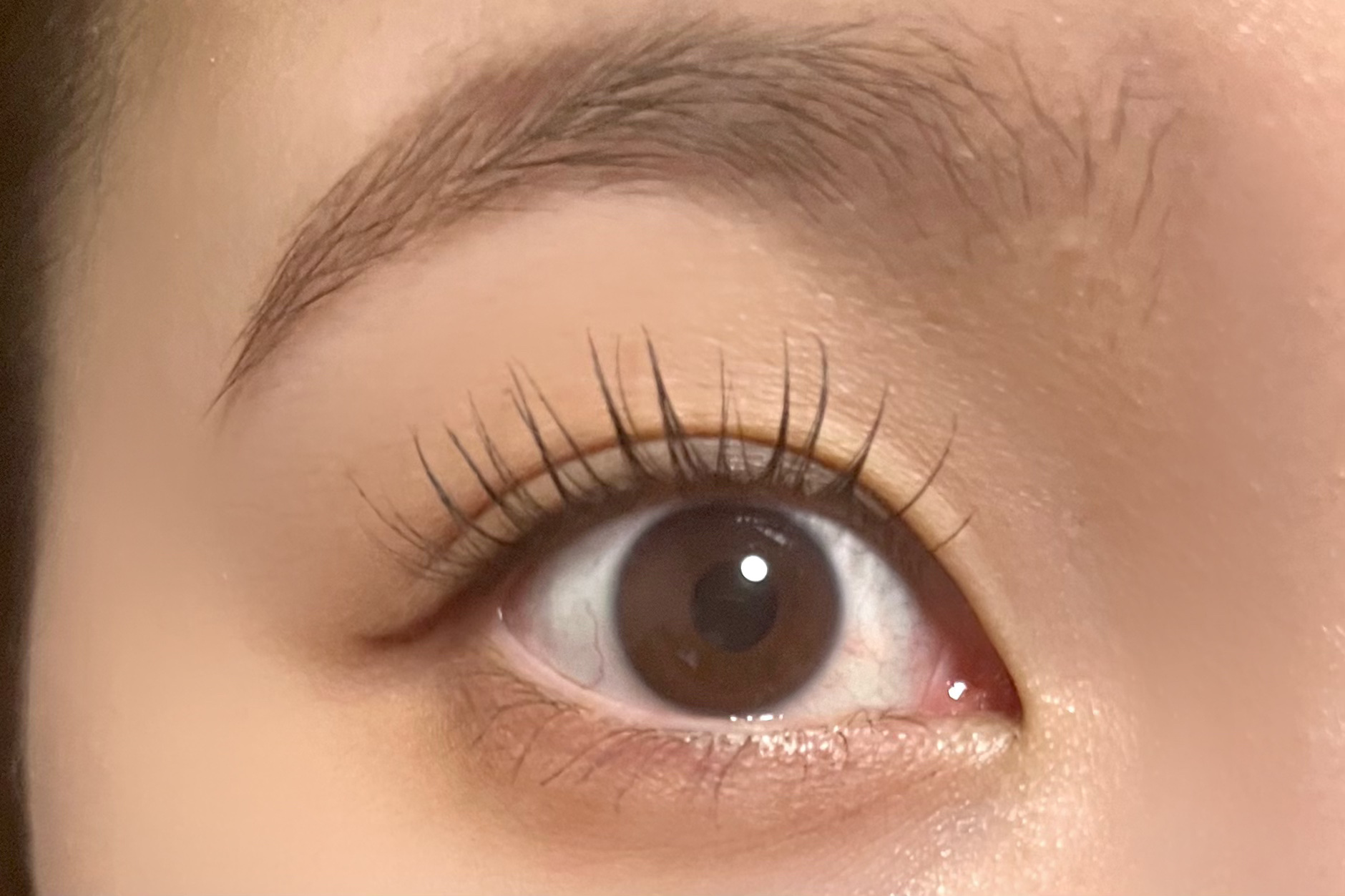 リキッド＆パウダー アイブロウ/FASIO/リキッドアイブロウを使ったクチコミ（2枚目）