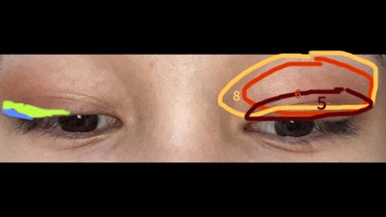 カラーステイ ルックス ブック パレット/REVLON/アイシャドウパレットを使ったクチコミ(2枚目)