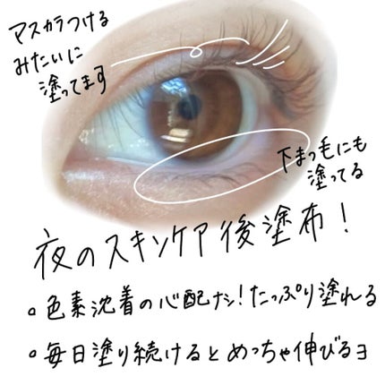 ラッシュジェリードロップ EX/MAJOLICA MAJORCA/まつげ美容液を使ったクチコミ(5枚目)