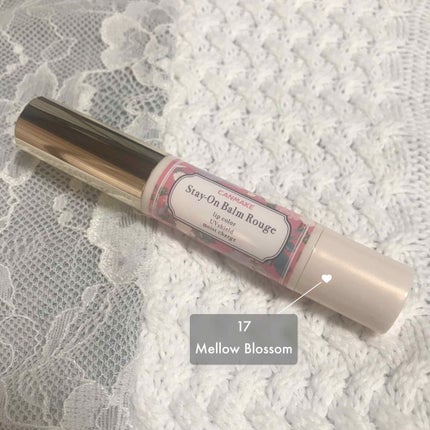 ステイオンバームルージュ/キャンメイク/口紅を使ったクチコミ(1枚目)