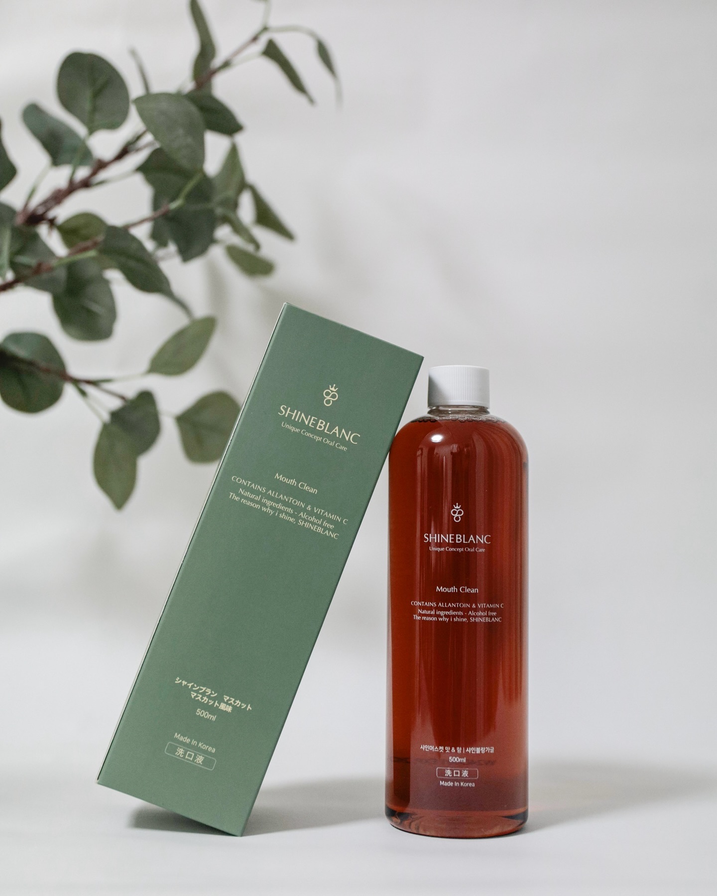 シャインブラン マスカット/SHINE BLANC/マウスウォッシュ・スプレーを使ったクチコミ（3枚目）