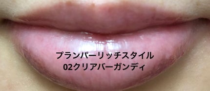 エテュセ リップエディション(プランパー)リッチスタイル/ヘルシースタイル/ettusais/リップケアを使ったクチコミ(3枚目)