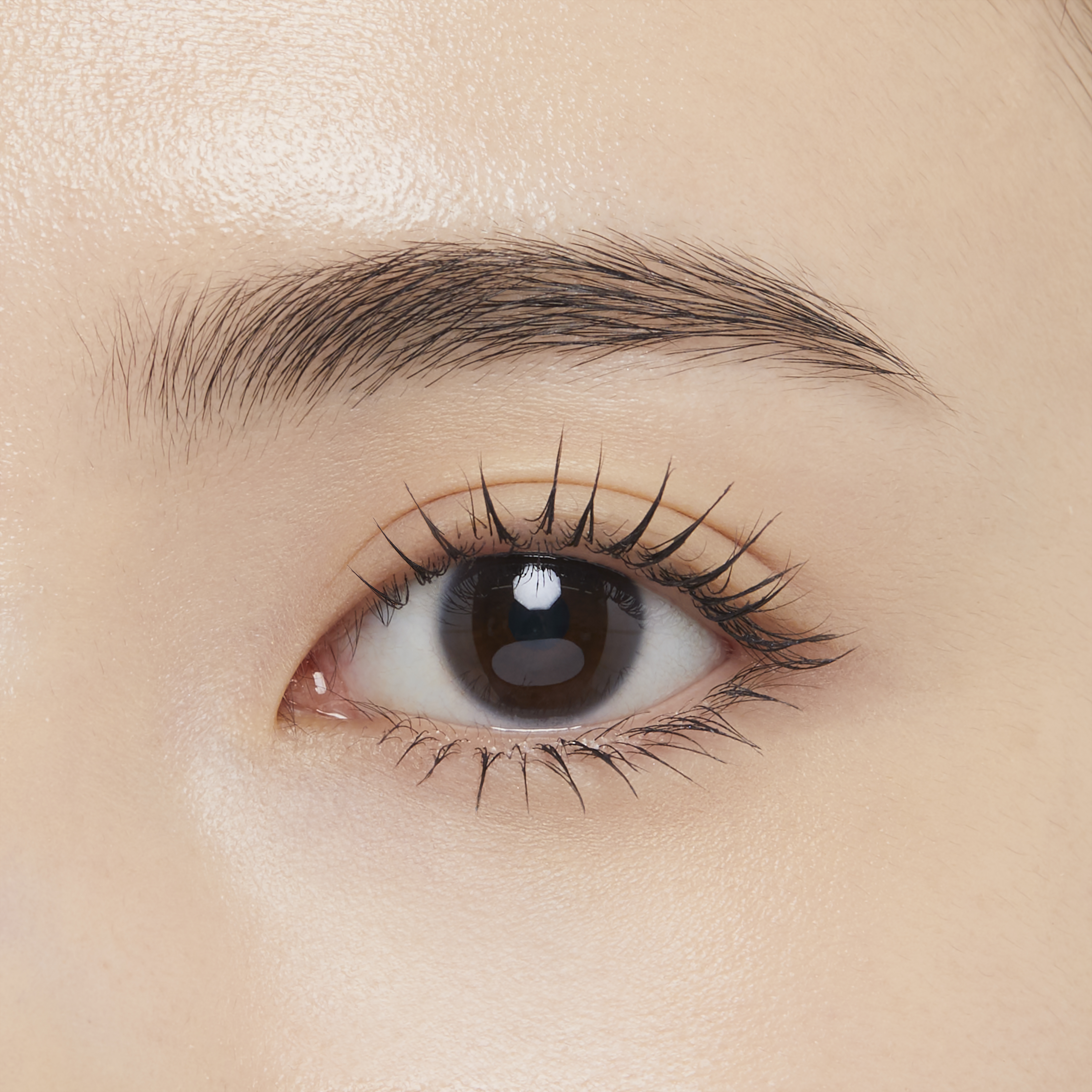 エテュセ アイエディション(ラッシュトップコート) 01 ラスターブラック