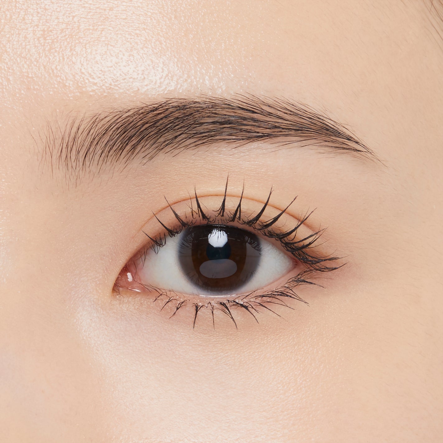 エテュセ アイエディション(ラッシュトップコート) ettusais