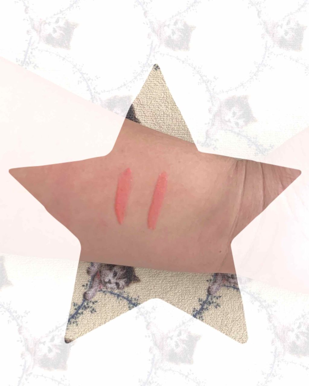 ラシャスリップス/ラシャスリップス/リップグロスを使ったクチコミ(3枚目)