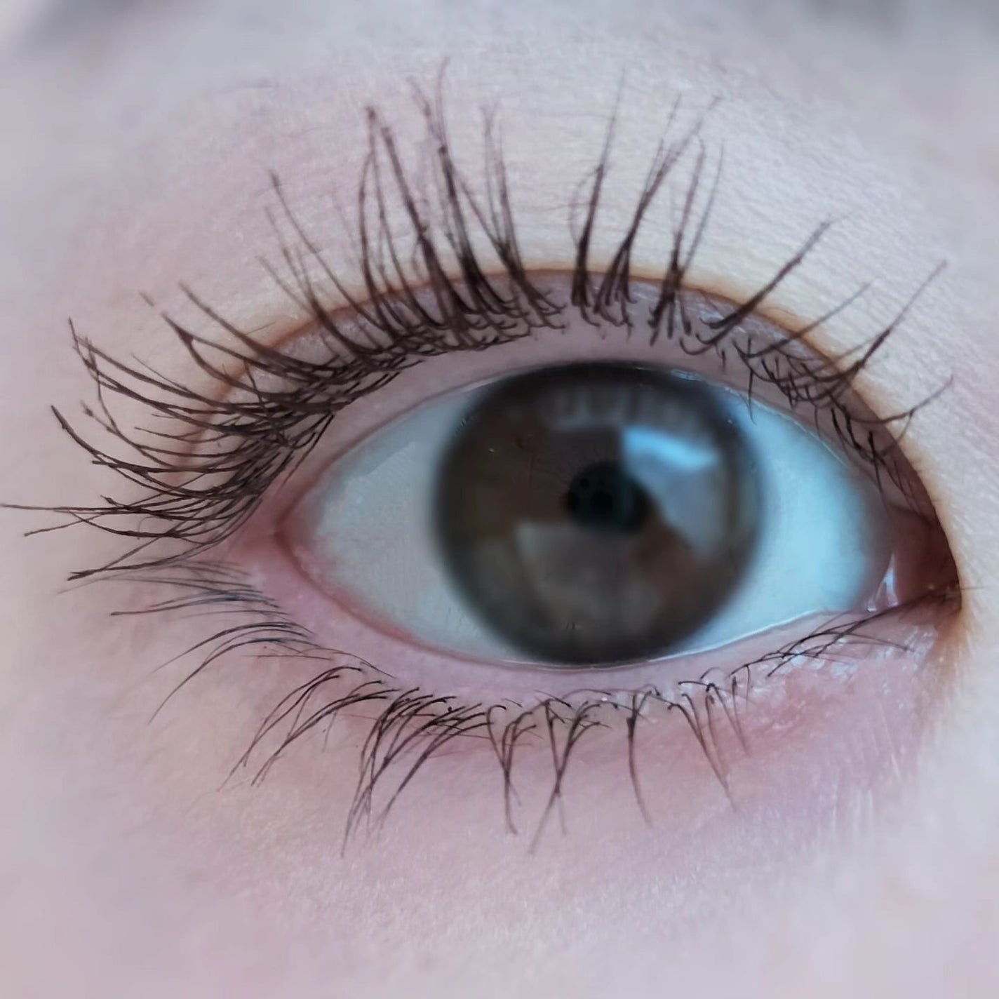 ラッシュニスタ N/MAYBELLINE NEW YORK/マスカラを使ったクチコミ(6枚目)