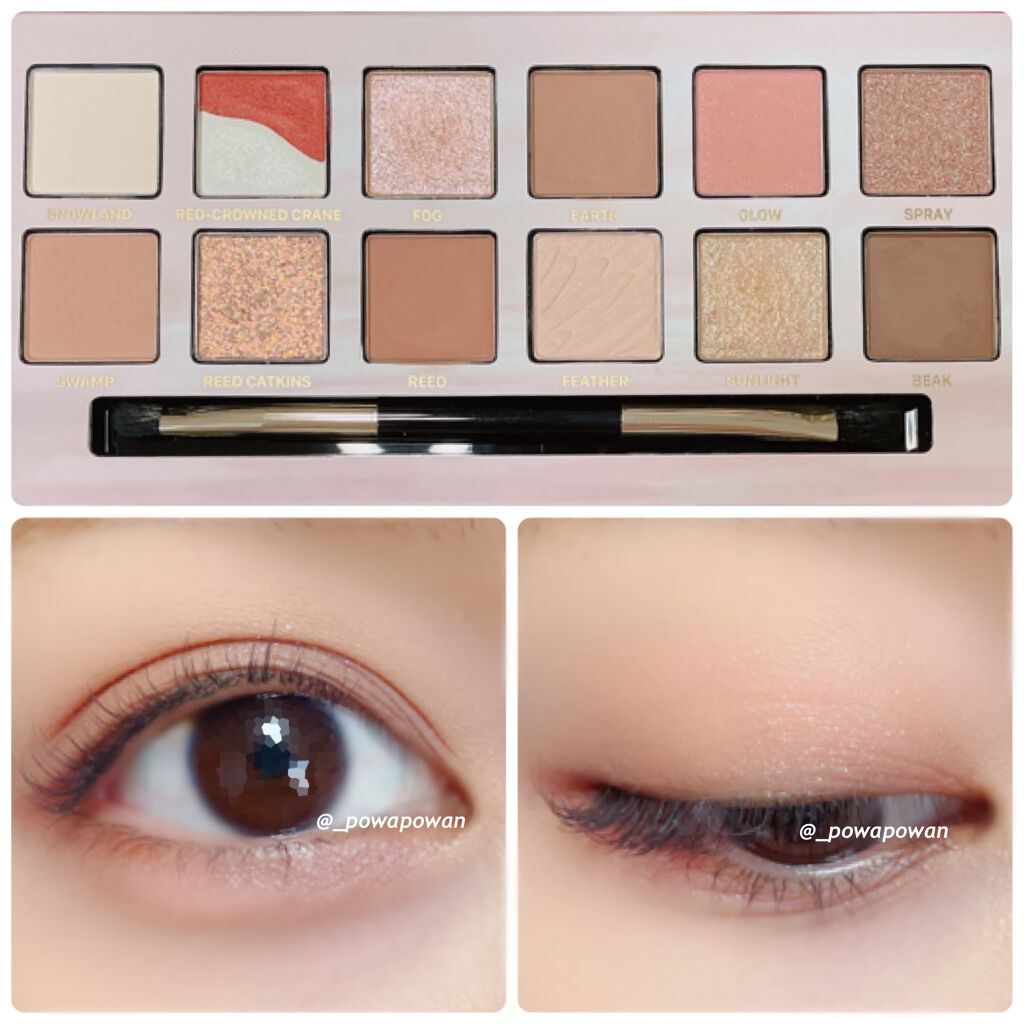 エクスプローラ12色 動物アイシャドウパレット/PERFECT DIARY/アイシャドウパレットを使ったクチコミ（3枚目）