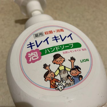 キレイキレイ薬用泡ハンドソープ本体 大型サイズ 500ml

いつも使っている手用の洗剤です！！！

肌に優しくて、泡ももこもこでやわらかいのでかなりいいです！

子供の肌にも合うのでお勧めです！