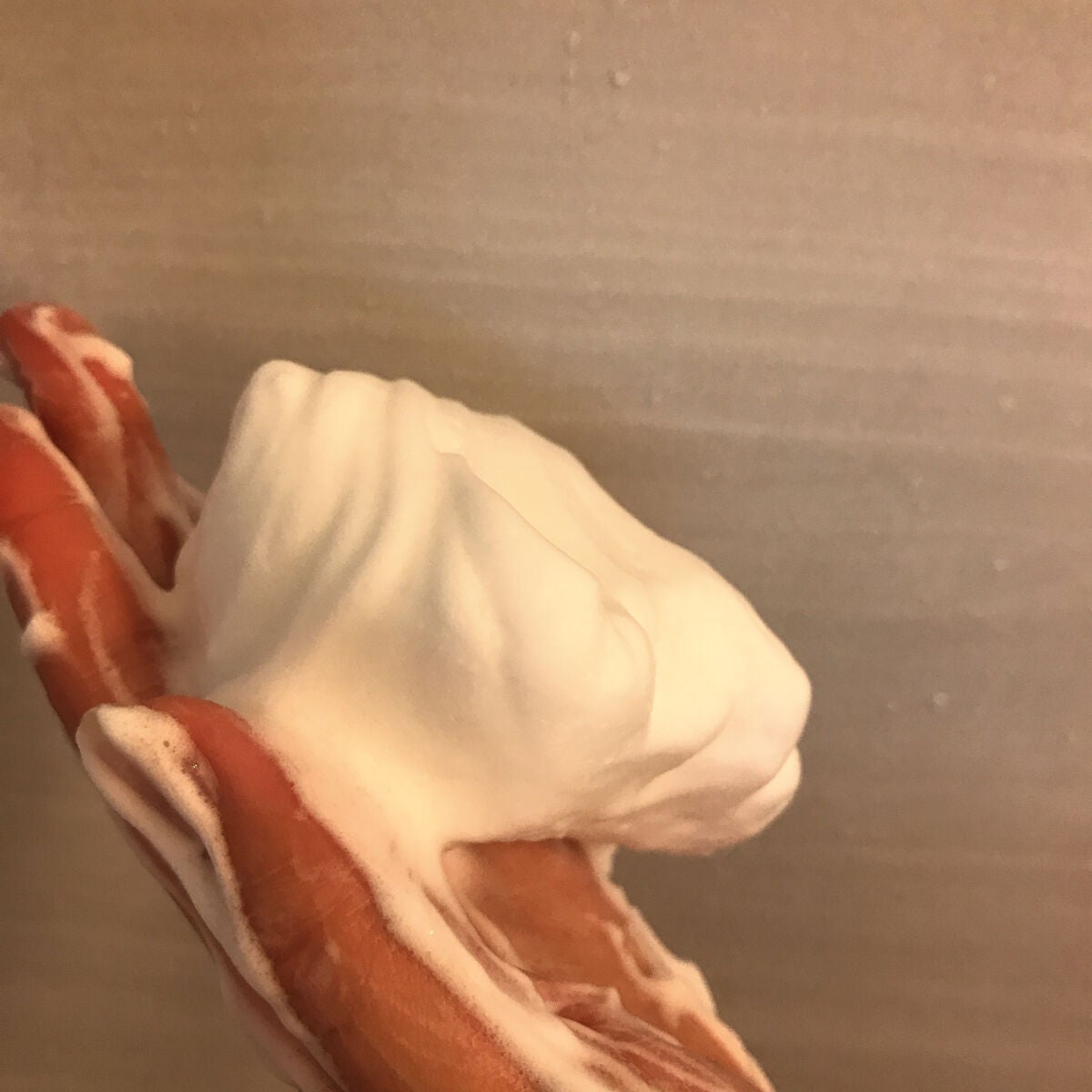 シカバイタル フォームクレンザー/VT/洗顔フォームを使ったクチコミ(3枚目)