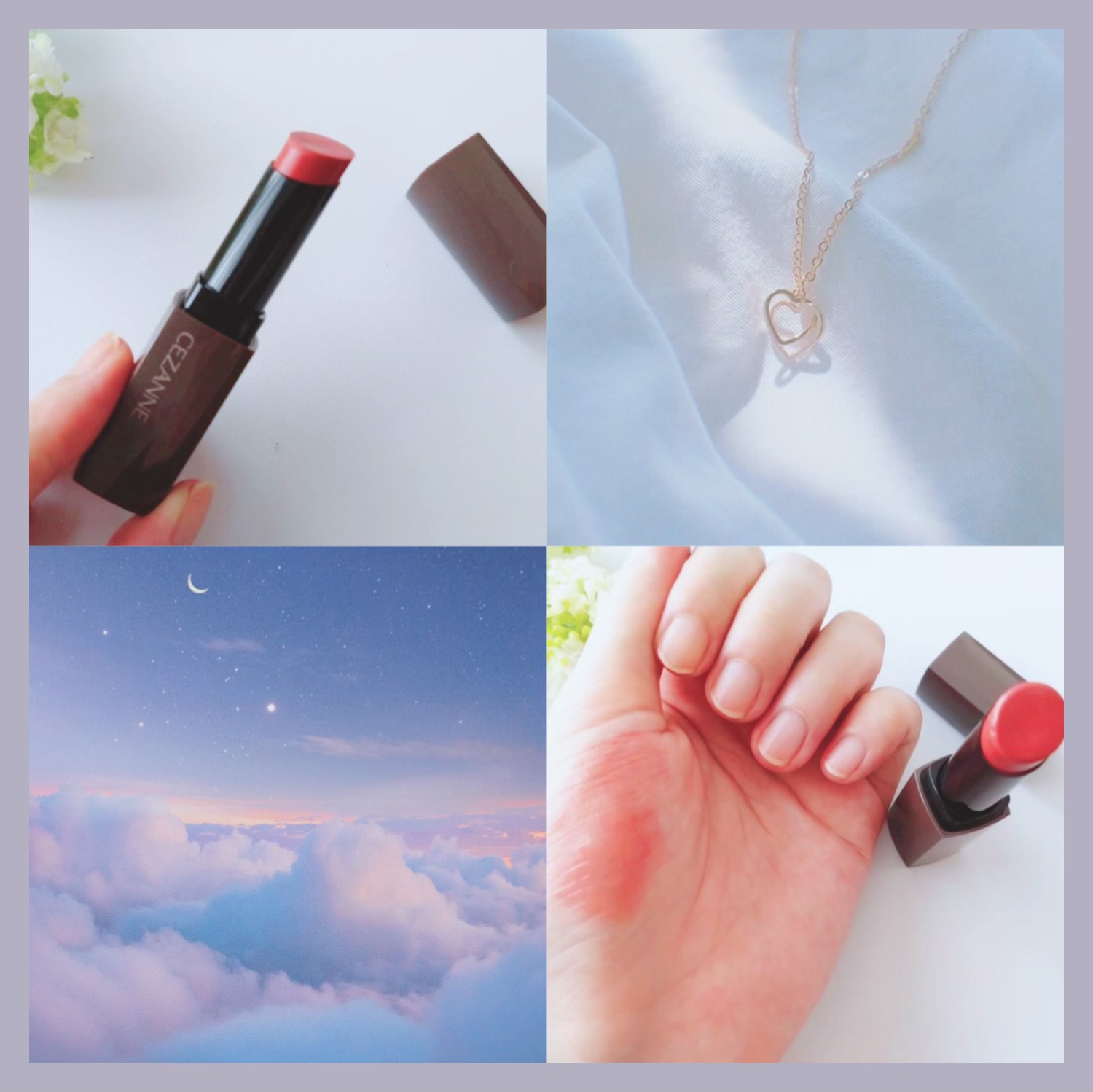 リップカラーシールド/CEZANNE/口紅を使ったクチコミ（1枚目）