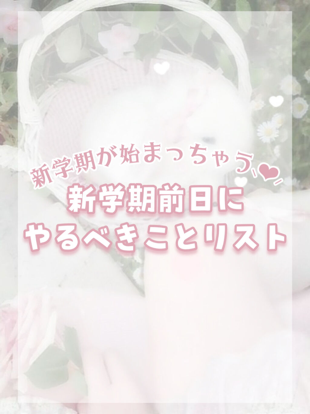 プレミア敏感肌用 Lディスポ/シック/シェーバーを使ったクチコミ（1枚目）