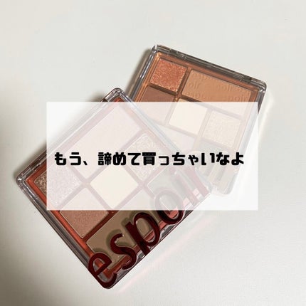 リアルアイパレット/espoir/マルチパレットを使ったクチコミ(1枚目)