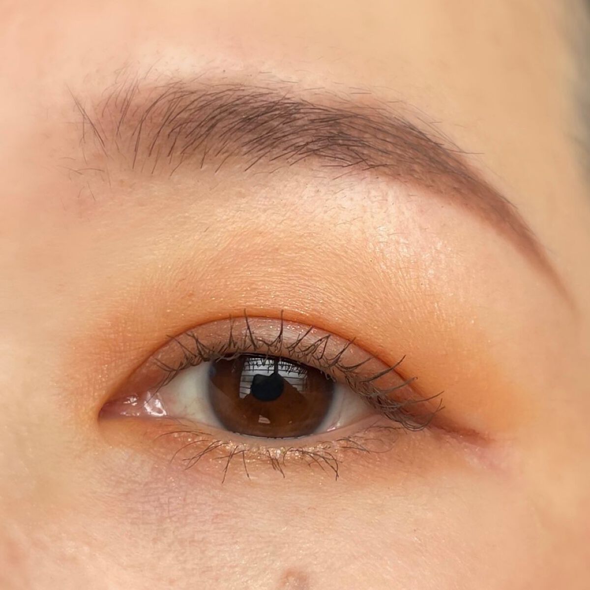 ナターシャ デノナ メトロポリス パレット/Natasha Denona/アイシャドウパレットを使ったクチコミ(5枚目)