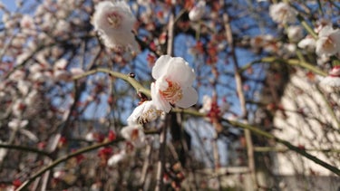 初投稿



1月くらいに髪を触ったら
えっ…私の髪、枝毛多すぎ…！パサパサすぎ…!!!となってドラッグストアにヘアオイルを買いに行きました。
ただいっぱいあってどれを買えばいいのかわからなくなってしま