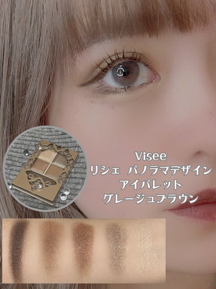 パノラマデザイン アイパレット/Visée/アイシャドウパレットを使ったクチコミ(2枚目)