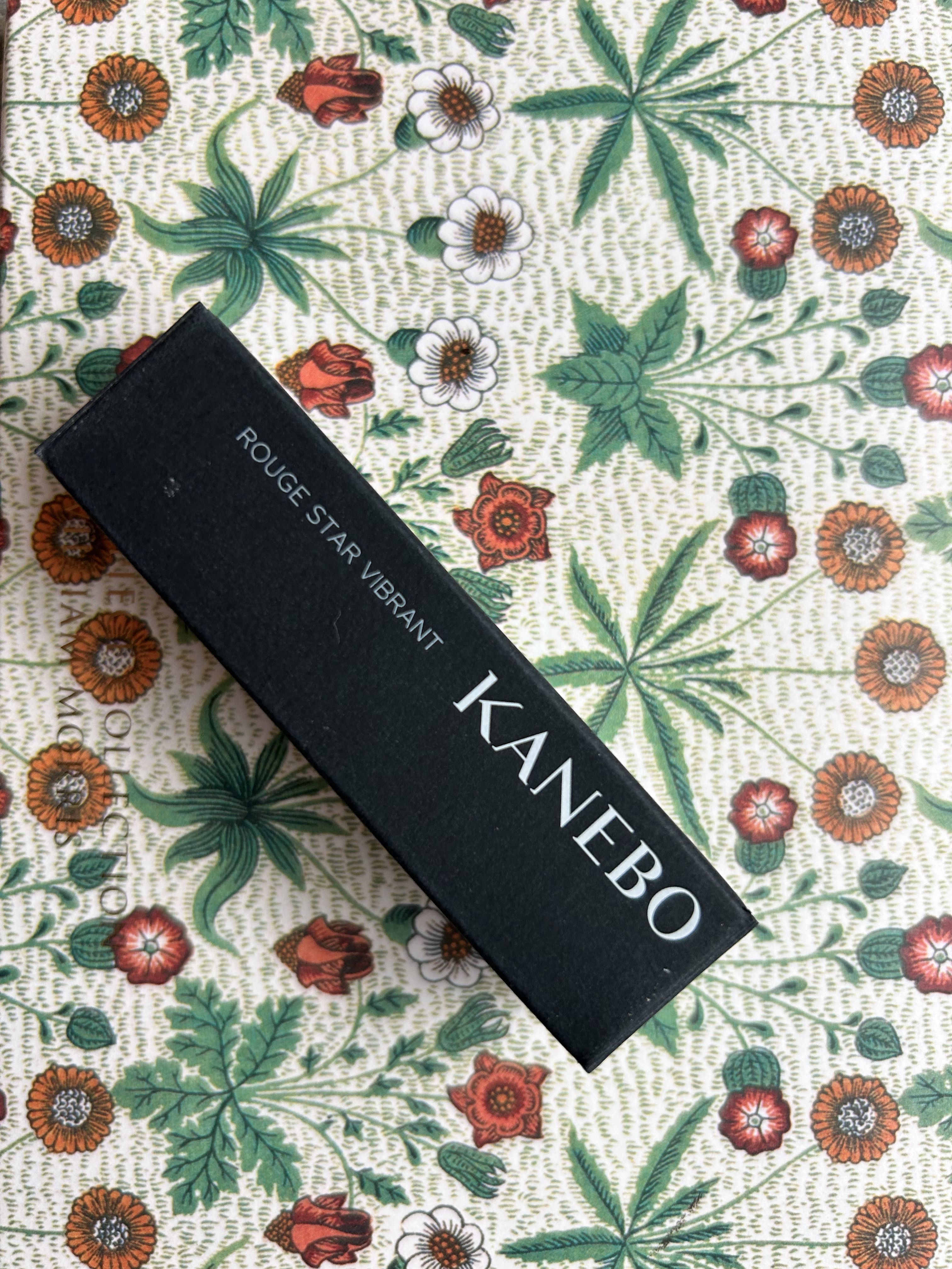 ルージュスターヴァイブラント V08 Peach Bloom/KANEBO/口紅を使ったクチコミ（2枚目）