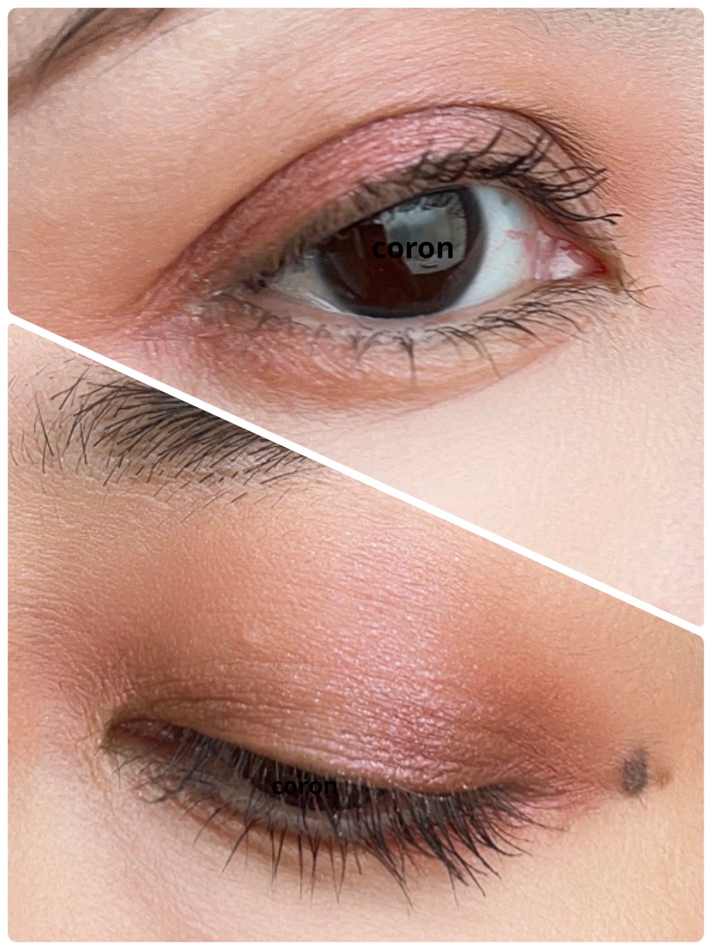 ã·ã°ããã£ãŒ ã«ã©ãŒ ã¢ã€ãº/SUQQU/ã¢ã€ã·ã£ããŠãã¬ããã䜿ã£ãã¯ãã³ãïŒ2æç®ïŒ