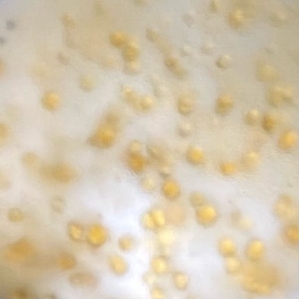 デイリーバイタライズカプセルセラム/SAM'U/美容液を使ったクチコミ(4枚目)