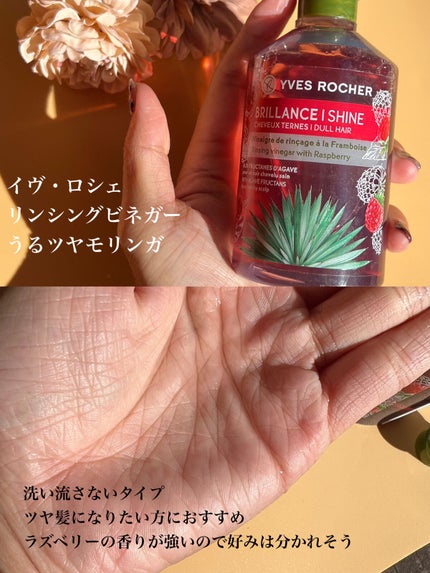 リンシングビネガー ピュアリフレッシュ うるツヤモリンガ /イヴ・ロシェ/洗い流すヘアトリートメントを使ったクチコミ(3枚目)