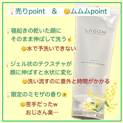 ジェルトゥウォーター クレンザー (MI)/LAGOM /その他洗顔料を使ったクチコミ(4枚目)