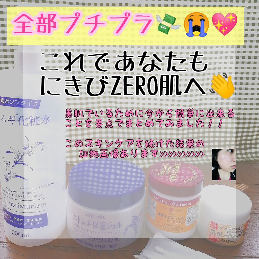 ハトムギ化粧水(ナチュリエ スキンコンディショナー R )/ナチュリエ/化粧水を使ったクチコミ（1枚目）