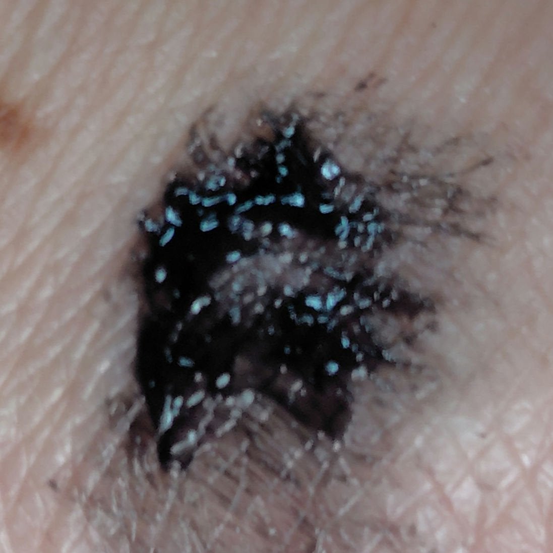 ハイパーリフトマスカラ/D-UP/マスカラを使ったクチコミ(3枚目)