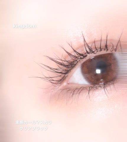 キングダム 束感カールマスカラ/キングダム/マスカラを使ったクチコミ(1枚目)