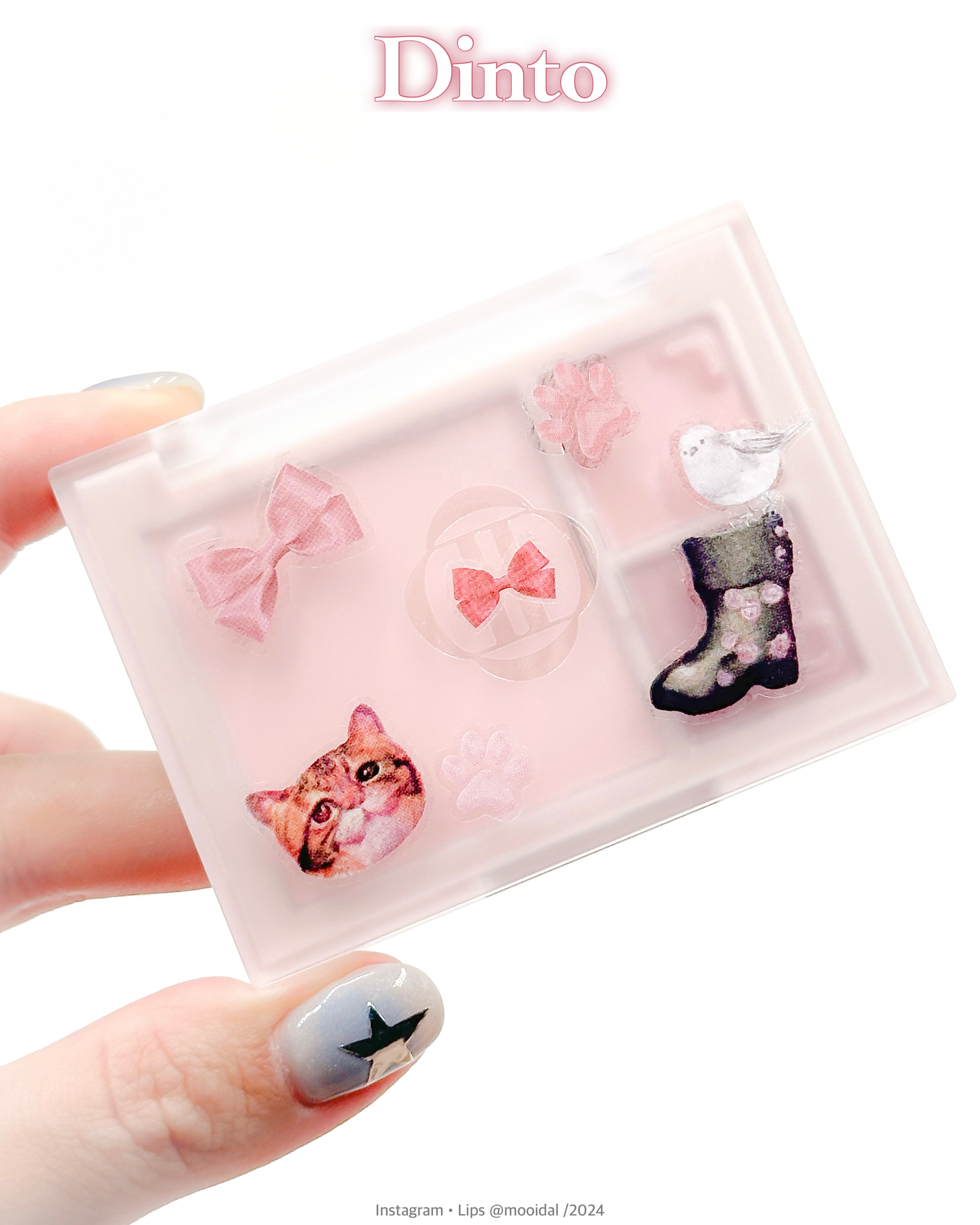 （ルシャブートコレクション）チーク＆アイ マルチユーズ パレット 762 Pink Chat/Dinto/パウダーチークを使ったクチコミ（2枚目）