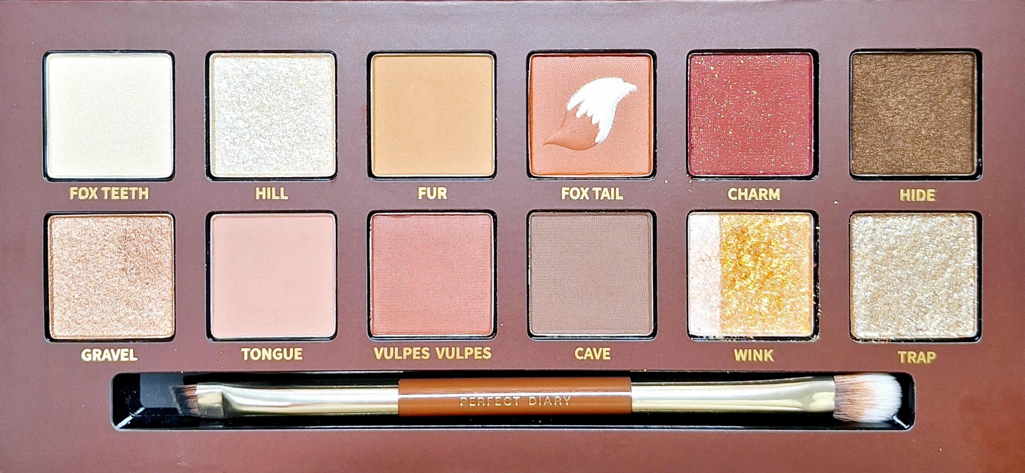 エクスプローラ12色 動物アイシャドウパレット/PERFECT DIARY/アイシャドウパレットを使ったクチコミ（2枚目）