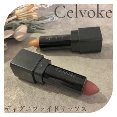 ディグニファイド リップス 10 レンガ/Celvoke/口紅を使ったクチコミ（1枚目）