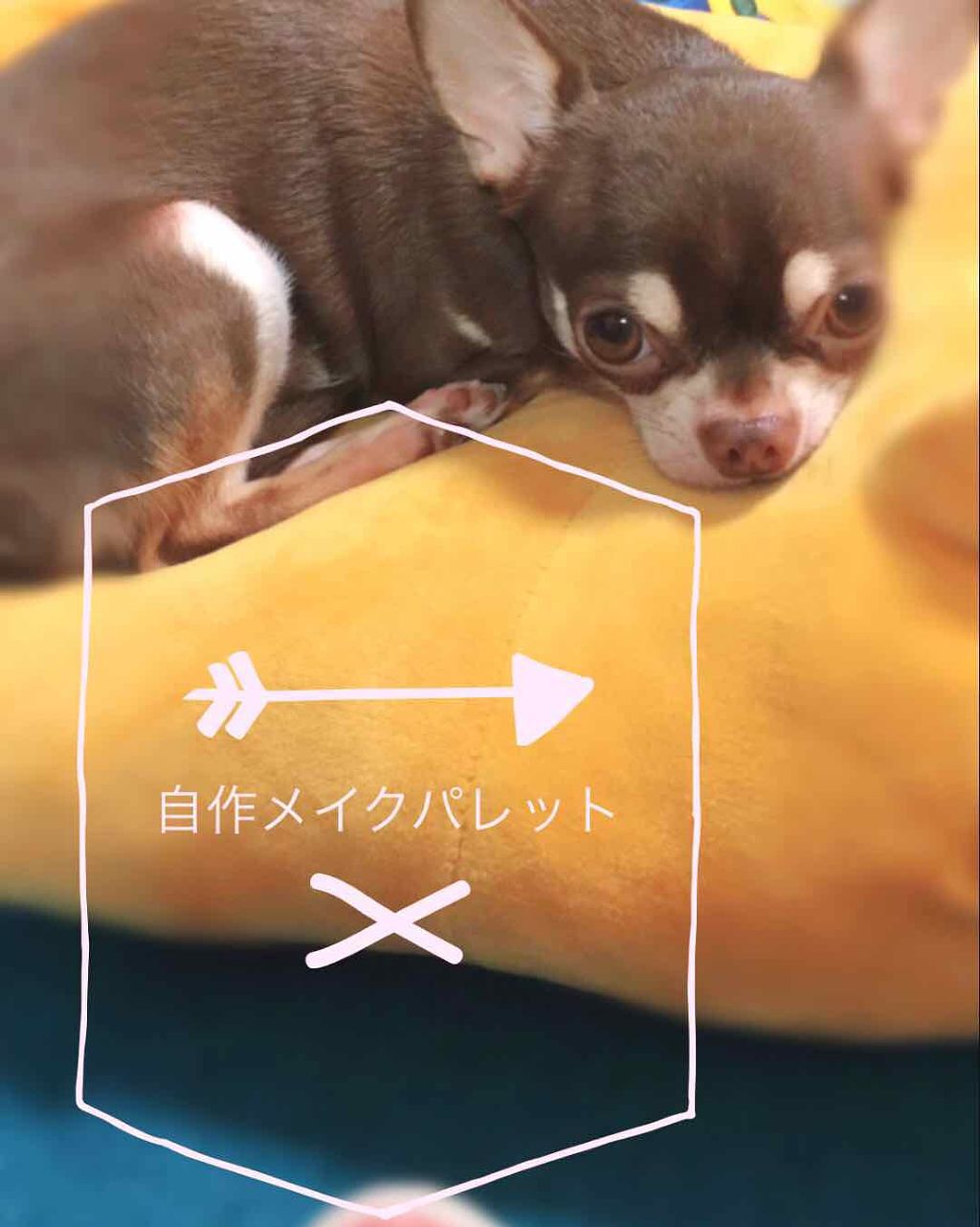 デザイニングアイブロウN/KATE/パウダーアイブロウを使ったクチコミ（1枚目）