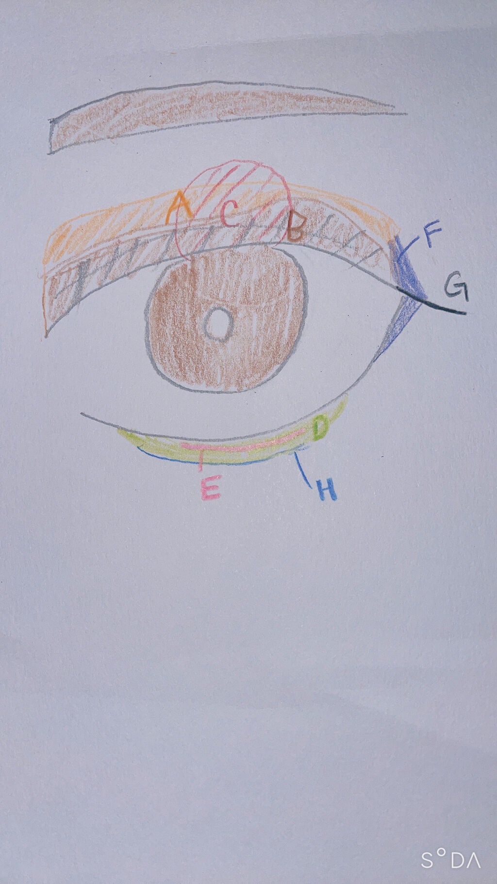 UR GLAM VELVET EYE COLOR PALETTE/U R GLAM/アイシャドウパレットを使ったクチコミ(2枚目)