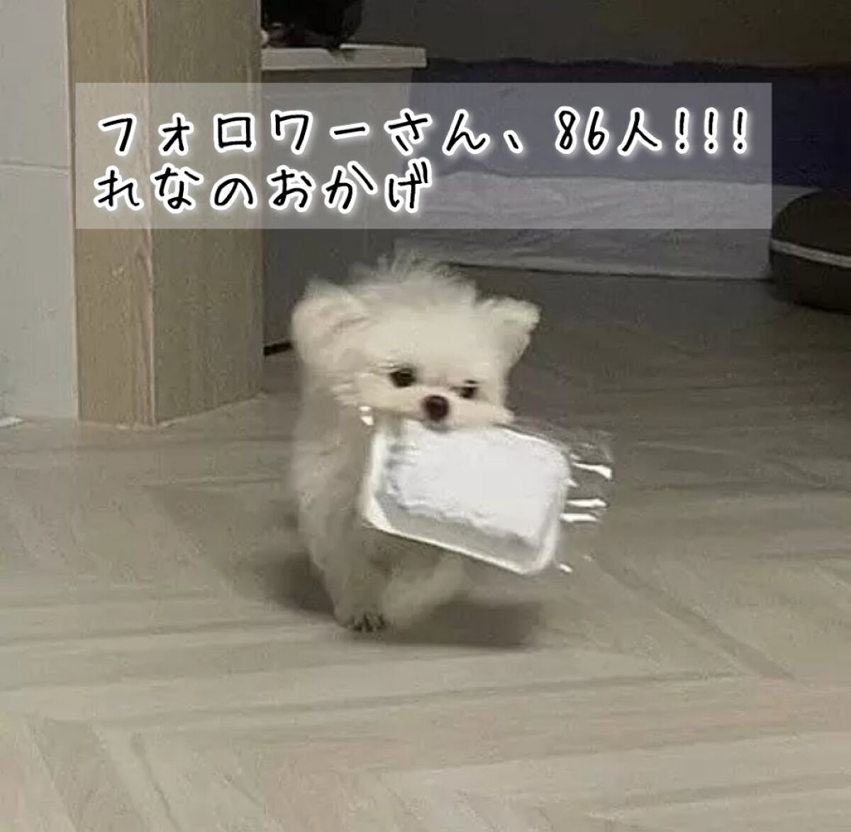 を使ったクチコミ（1枚目）