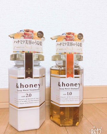 ディープモイスト シャンプー1.0／ヘアトリートメント2.0/&honey/シャンプー・コンディショナーを使ったクチコミ（1枚目）