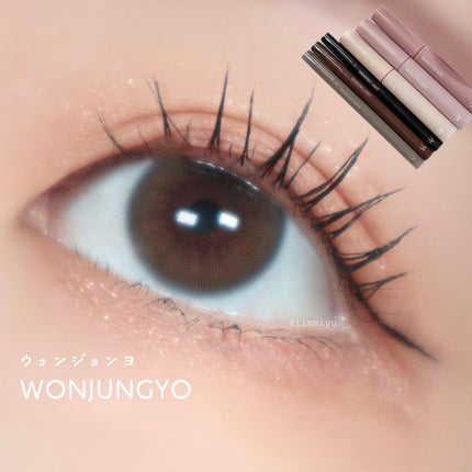 ウォンジョンヨ ドローイングライナー/Wonjungyo/リキッドアイライナーを使ったクチコミ(1枚目)