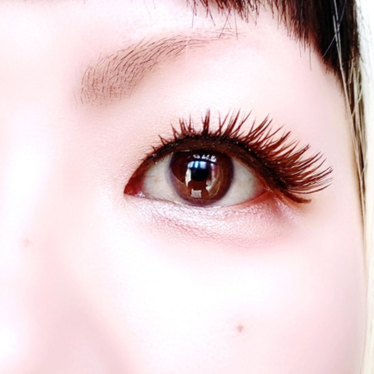 ベージュトーンアイシャドウ/CEZANNE/アイシャドウパレットを使ったクチコミ(6枚目)