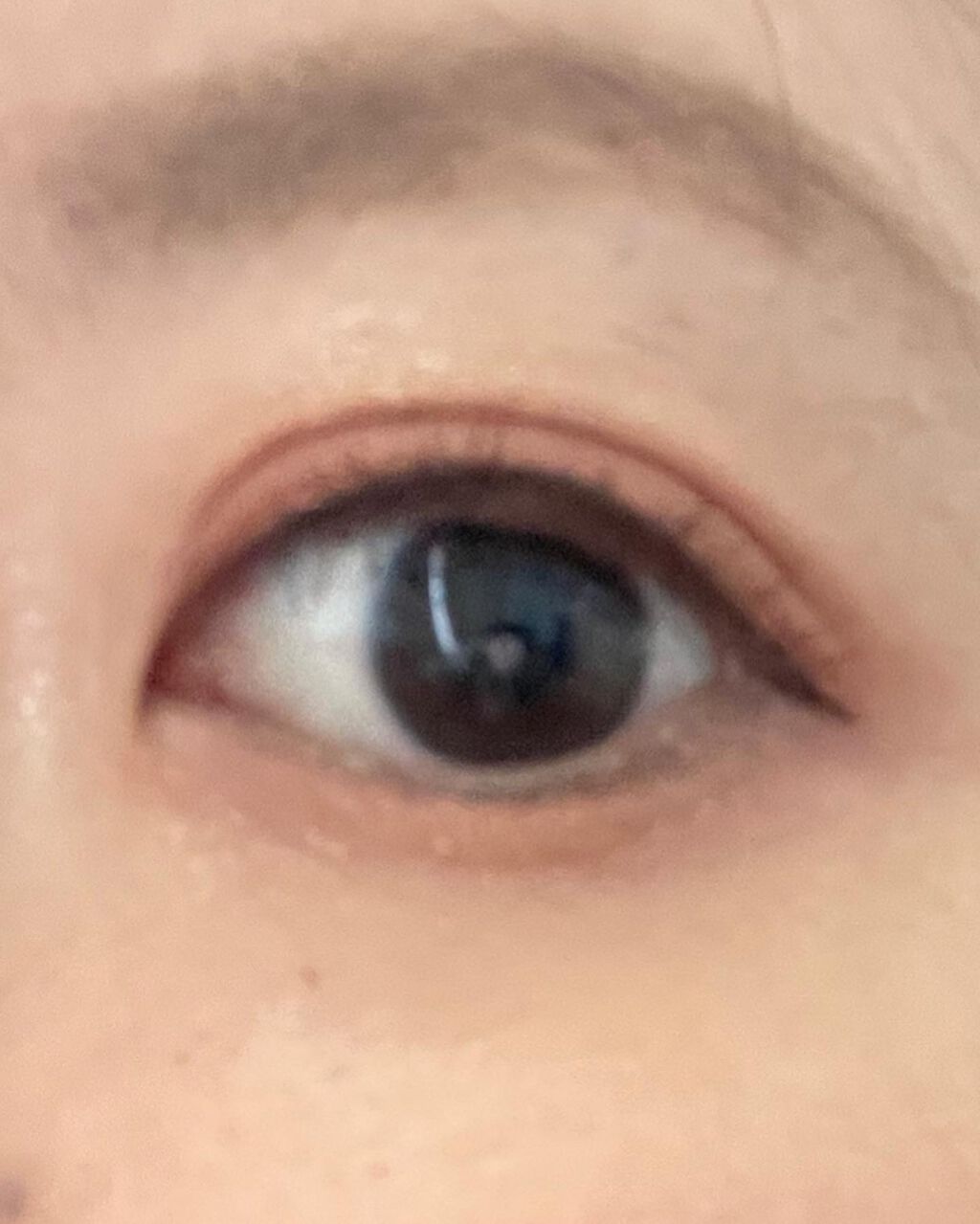 4色アイシャドウパレット 01 ビスクシュシュ/aZTK/アイシャドウパレットを使ったクチコミ（2枚目）