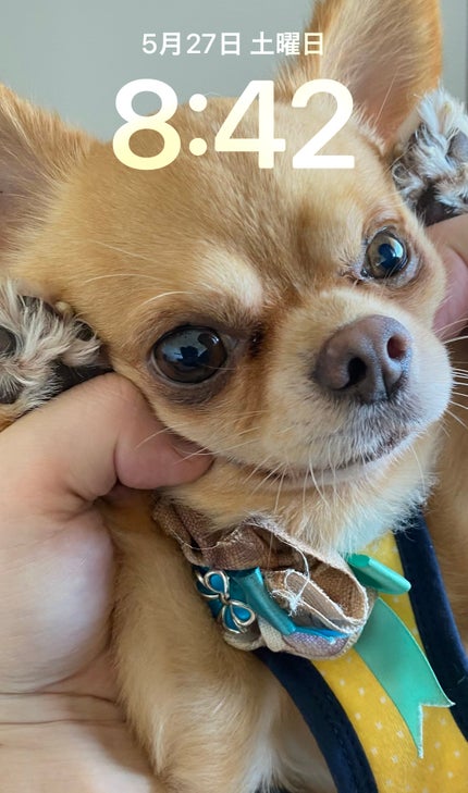 チーク ポップ/CLINIQUE/パウダーチークを使ったクチコミ(7枚目)