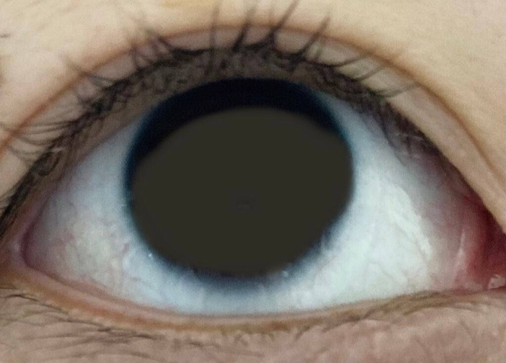 セルフまつ毛パーマキット/シルキーロールズ/その他キットセットを使ったクチコミ(2枚目)