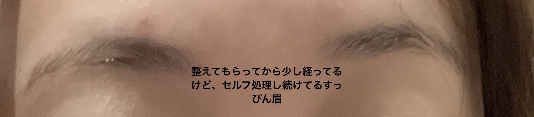 貴族のゴールド メイクブラシ11本セット 化粧ポーチ付き/SIXPLUS/メイクブラシを使ったクチコミ（1枚目）